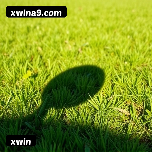 xwin APP mobile iOS Android - 187 mil downloads São Paulo Rio BH
